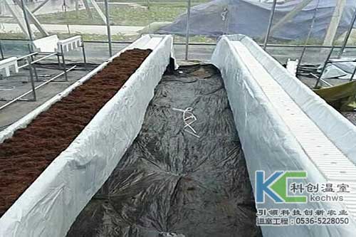 無土栽培，無土栽培技術(shù)，無土栽培設(shè)備