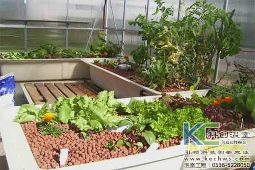 無土栽培，無土栽培技術，無土栽培設備