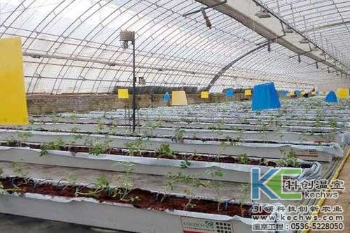 無土栽培，無土栽培技術，無土栽培設備