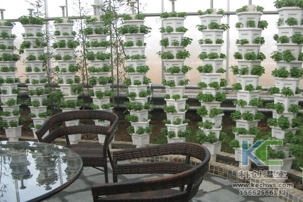 無土栽培,無土栽培技術(shù),無土栽培設(shè)備