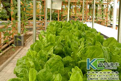 無(wú)土栽培,無(wú)土栽培技術(shù),無(wú)土栽培設(shè)備