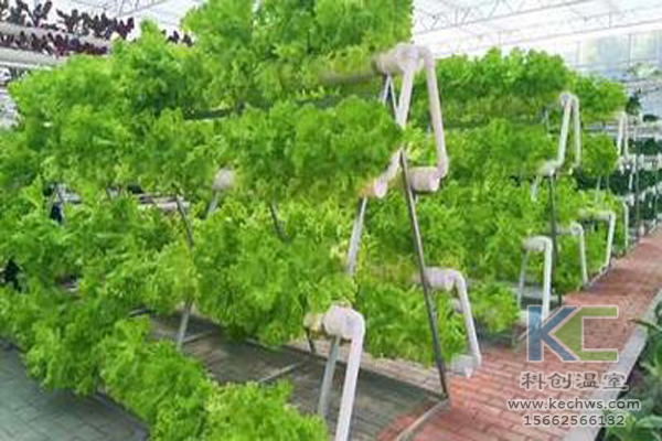 無土栽培，無土栽培技術，無土栽培設備