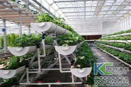 無土栽培,無土栽培技術,無土栽培設備