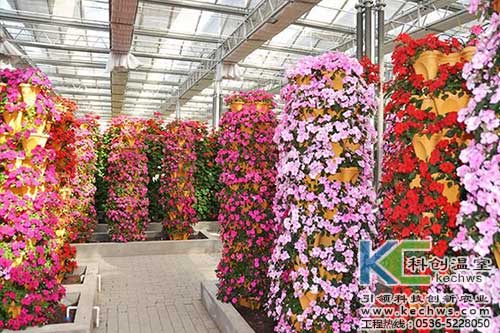 無土栽培，無土栽培技術，無土栽培設備