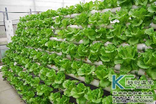 無(wú)土栽培，無(wú)土栽培技術(shù)，無(wú)土栽培設(shè)備