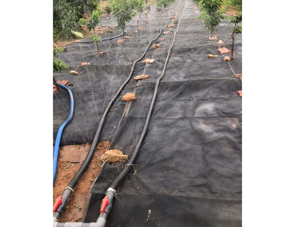 無(wú)土栽培，無(wú)土栽培技術(shù)，無(wú)土栽培設(shè)備