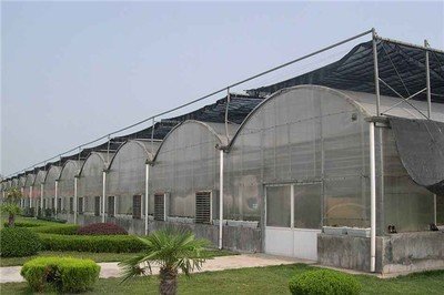 無土栽培,無土栽培技術,無土栽培設備