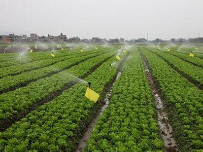 無(wú)土栽培，無(wú)土栽培技術(shù)，無(wú)土栽培設(shè)備