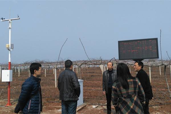 無土栽培，無土栽培技術，無土栽培設備