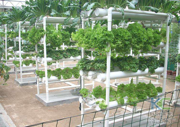 無土栽培，無土栽培技術，無土栽培設備