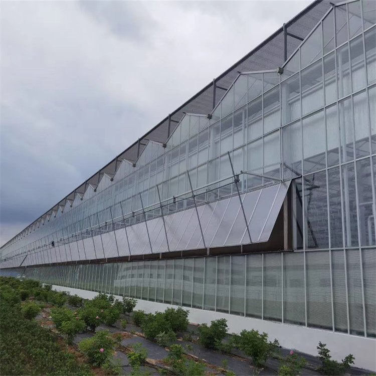 無土栽培，無土栽培技術，無土栽培設備