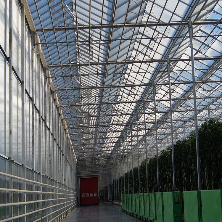 無土栽培，無土栽培技術(shù)，無土栽培設(shè)備