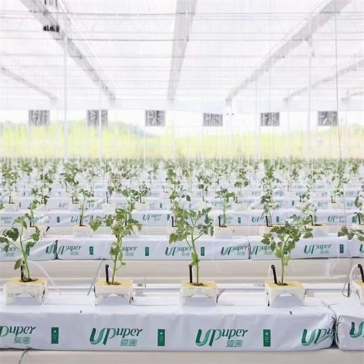 無土栽培，無土栽培技術，無土栽培設備