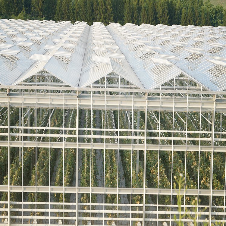 無土栽培，無土栽培技術(shù)，無土栽培設(shè)備