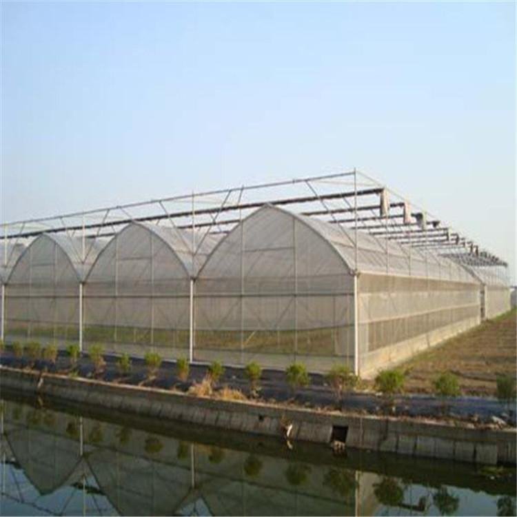 無土栽培,無土栽培技術,無土栽培設備