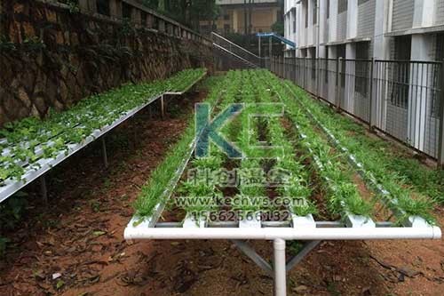 無(wú)土栽培，無(wú)土栽培技術(shù)，無(wú)土栽培設(shè)備