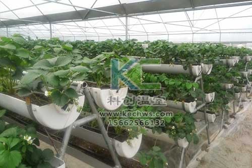 無土栽培,無土栽培技術,無土栽培設備
