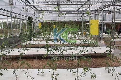 無(wú)土栽培，無(wú)土栽培技術(shù)，無(wú)土栽培設(shè)備