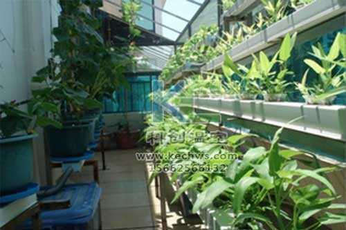 無(wú)土栽培，無(wú)土栽培技術(shù)，無(wú)土栽培設(shè)備