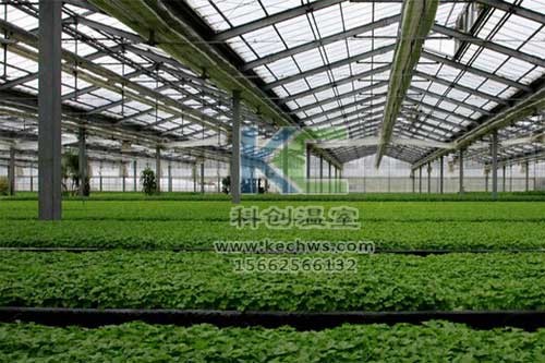 無(wú)土栽培，無(wú)土栽培技術(shù)，無(wú)土栽培設(shè)備