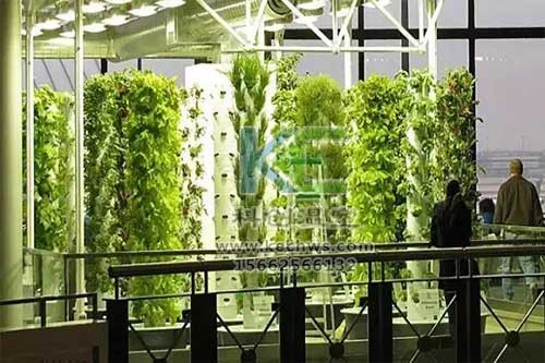 無土栽培，無土栽培技術(shù)，無土栽培設(shè)備