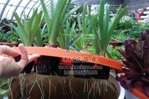 無土栽培，無土栽培技術(shù)，無土栽培設(shè)備