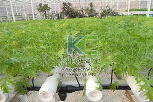 無土栽培，無土栽培技術(shù)，無土栽培設(shè)備