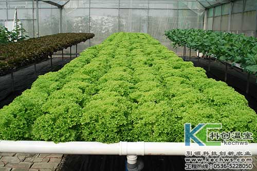 無(wú)土栽培，無(wú)土栽培技術(shù)，無(wú)土栽培設(shè)備