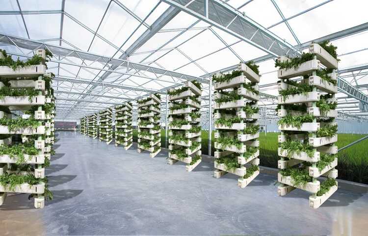 無土栽培，無土栽培技術(shù)，無土栽培設(shè)備