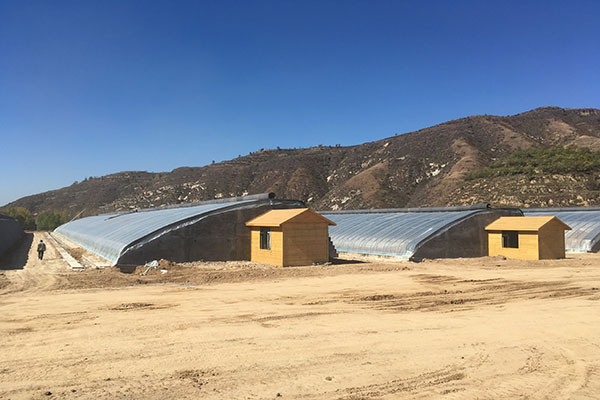 無土栽培，無土栽培技術，無土栽培設備