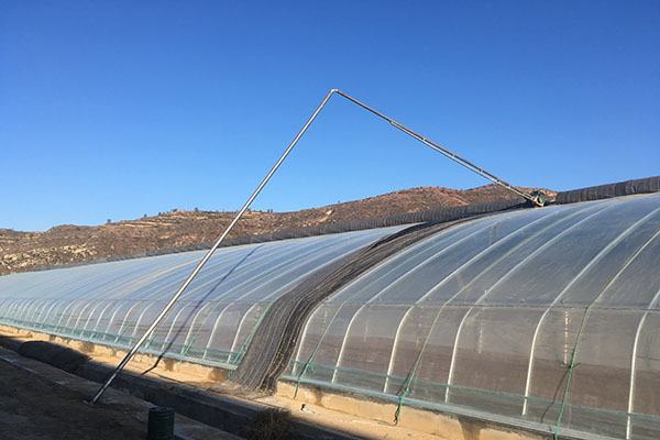 無土栽培，無土栽培技術，無土栽培設備