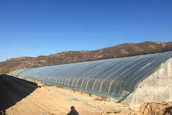 無土栽培，無土栽培技術，無土栽培設備