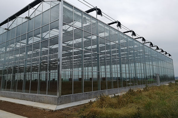 無土栽培,無土栽培技術(shù),無土栽培設(shè)備