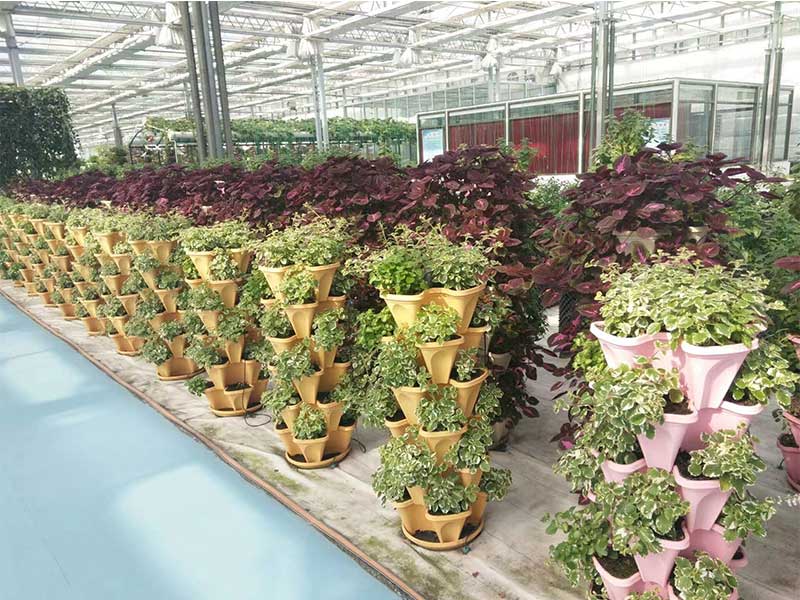 無土栽培，無土栽培技術，無土栽培設備